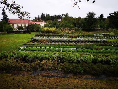 Medgeneracijske delavnice v Kačičah